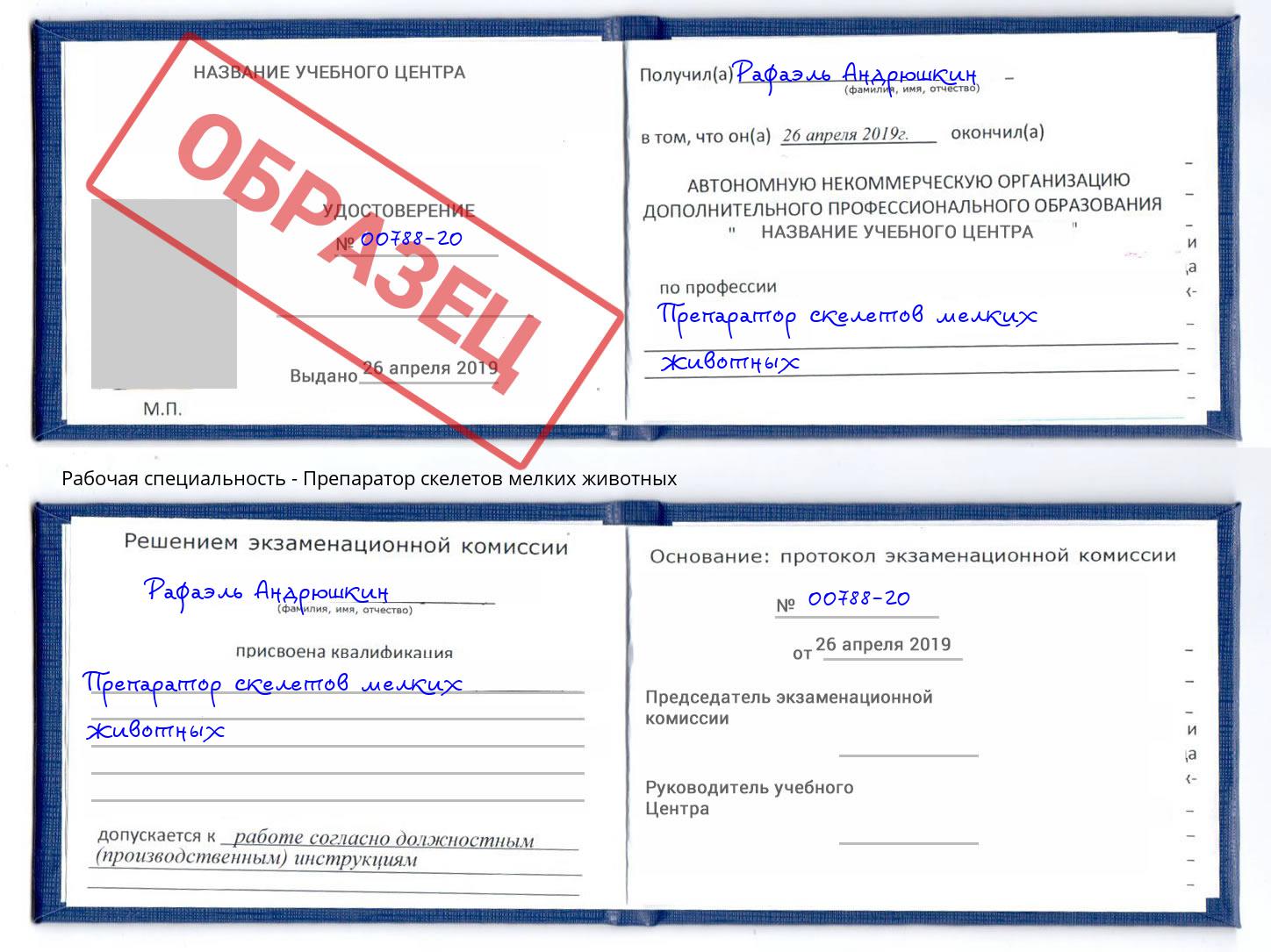 Препаратор скелетов мелких животных Балахна