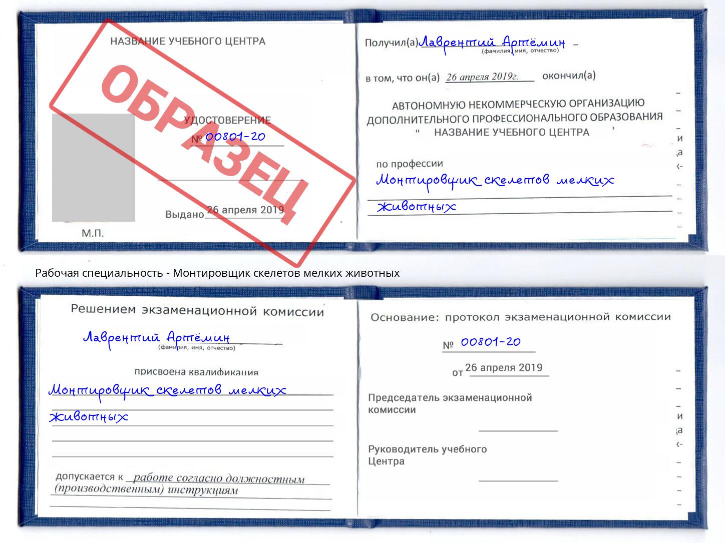 Монтировщик скелетов мелких животных Балахна