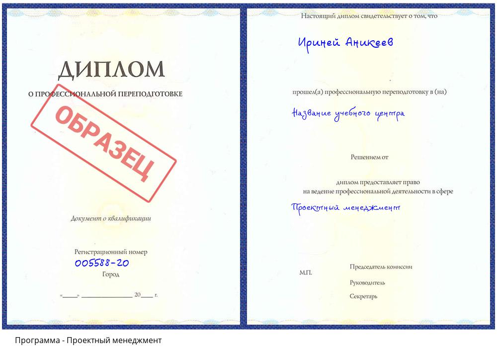 Проектный менеджмент Балахна