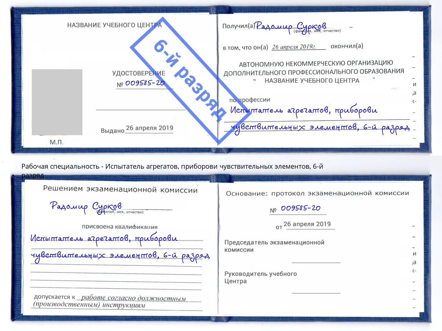 корочка 6-й разряд Испытатель агрегатов, приборови чувствительных элементов Балахна