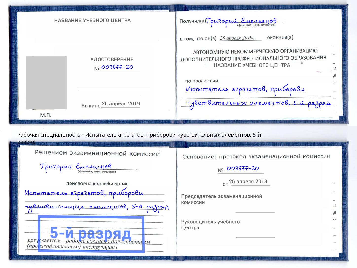 корочка 5-й разряд Испытатель агрегатов, приборови чувствительных элементов Балахна
