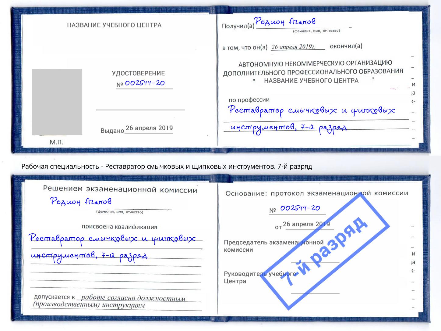 корочка 7-й разряд Реставратор смычковых и щипковых инструментов Балахна