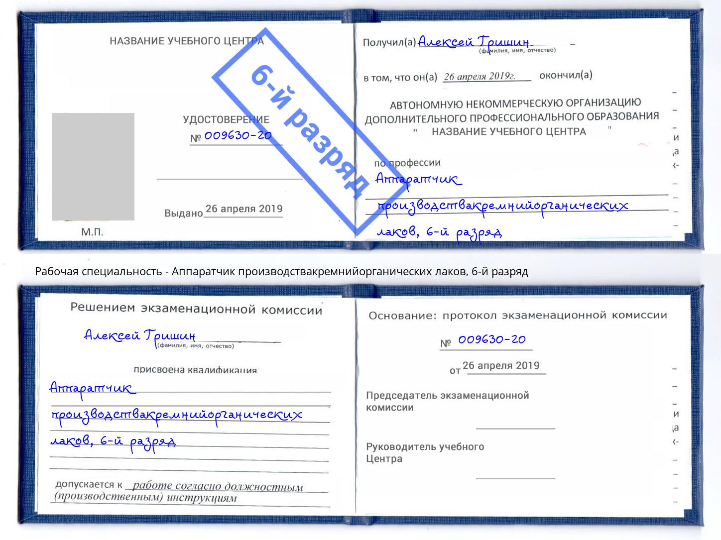 корочка 6-й разряд Аппаратчик производствакремнийорганических лаков Балахна