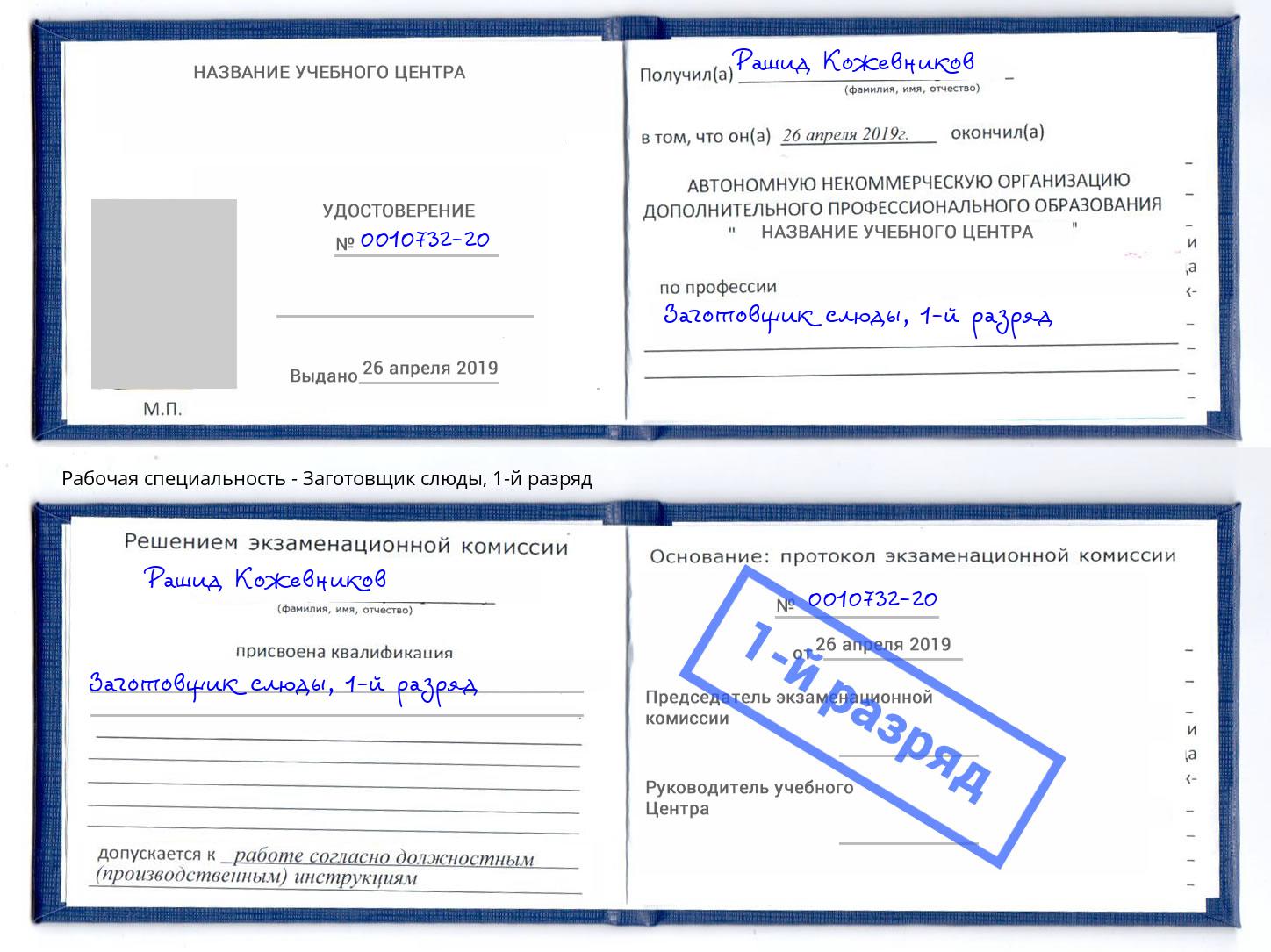 корочка 1-й разряд Заготовщик слюды Балахна